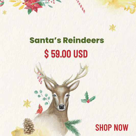 Santa's Reindeers Ornament Set